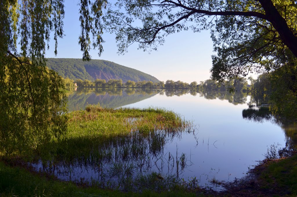 Morning on the lake
