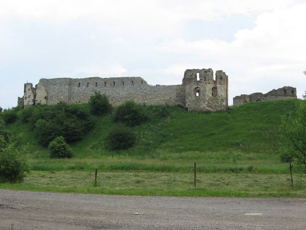 Castle in Pnyov (Замок в Пневе)