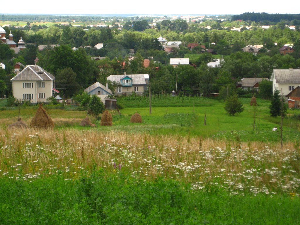 копиці, трави і Солотвин (літо, липень 2009) ..