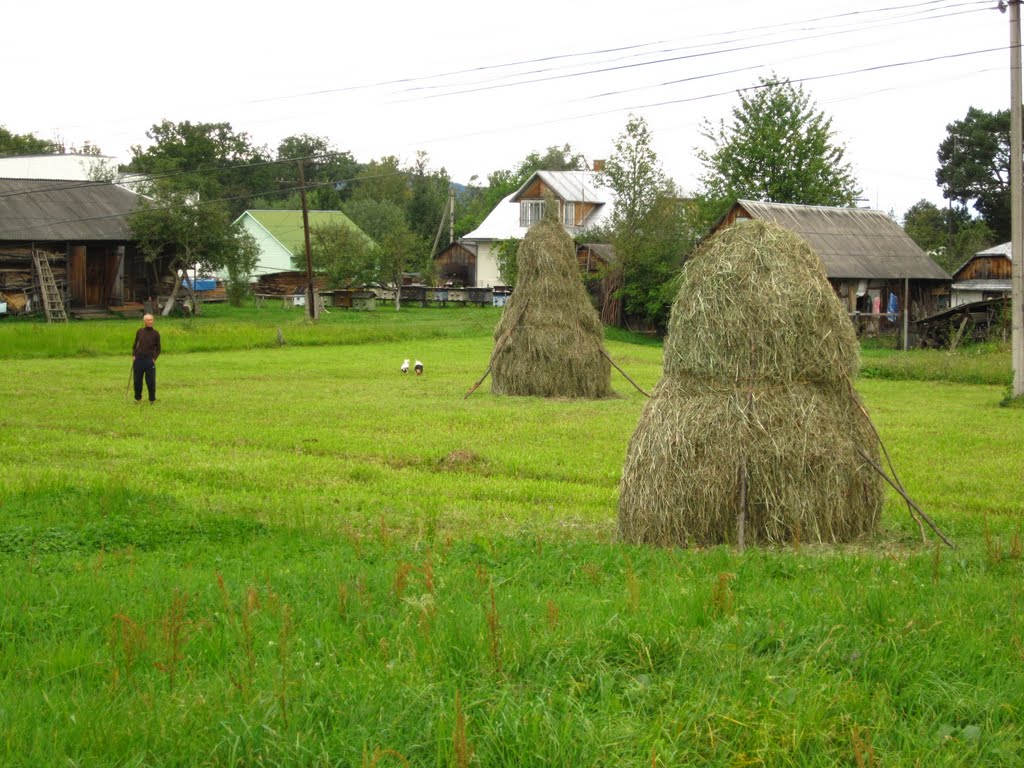 копиці дядька в чорному ..