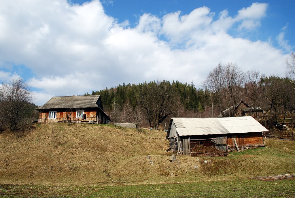 с.Пасічна