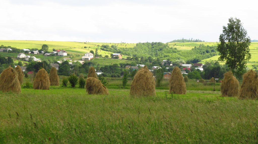 багато копиць ..