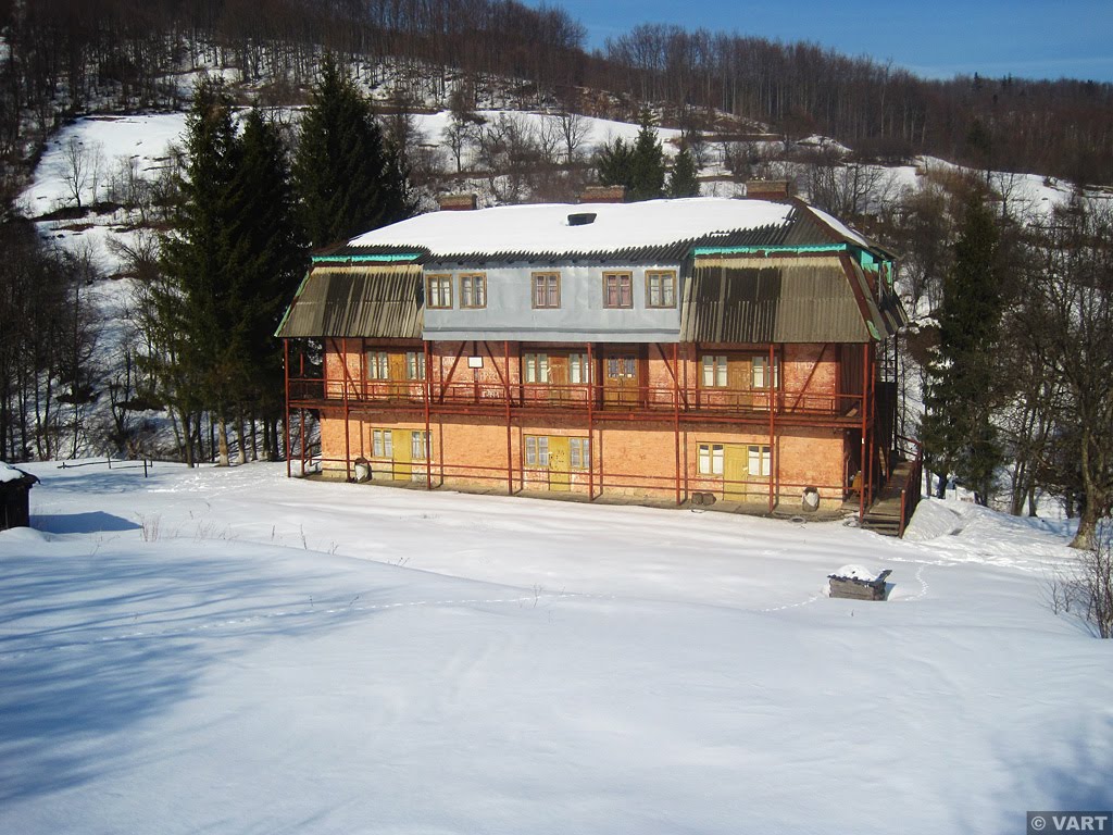 Битків