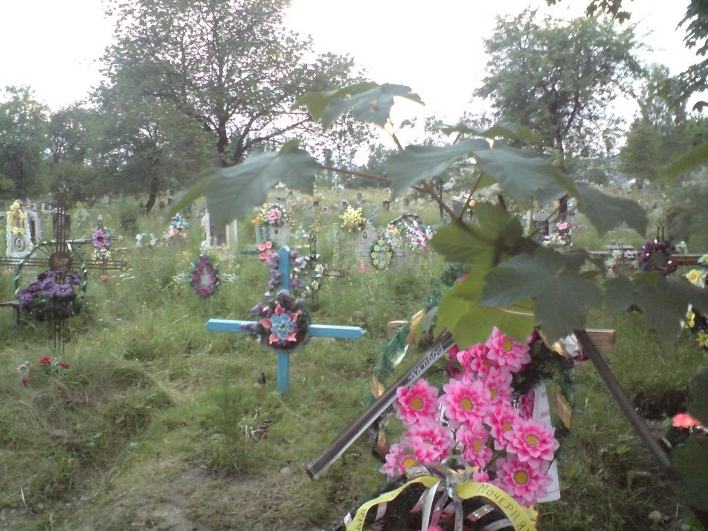 Verkhovyna ,loved ones remembered