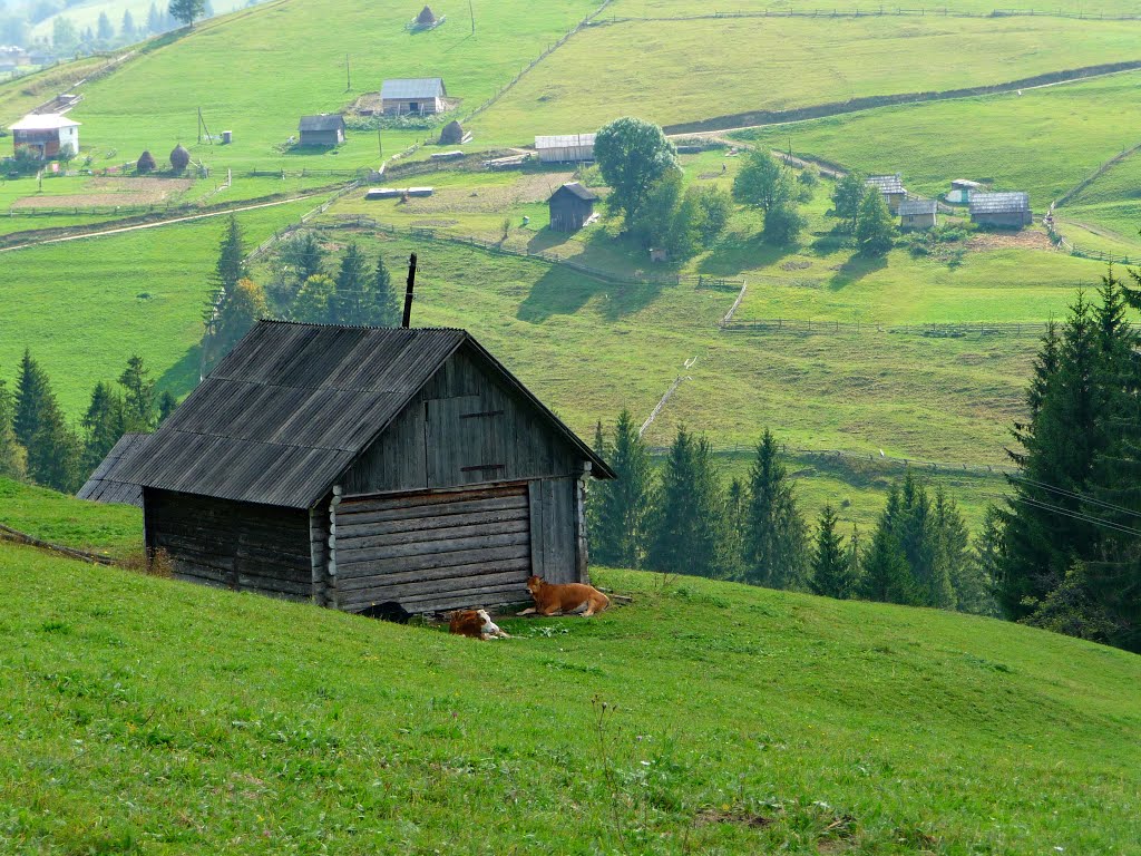Отдых в тенечке