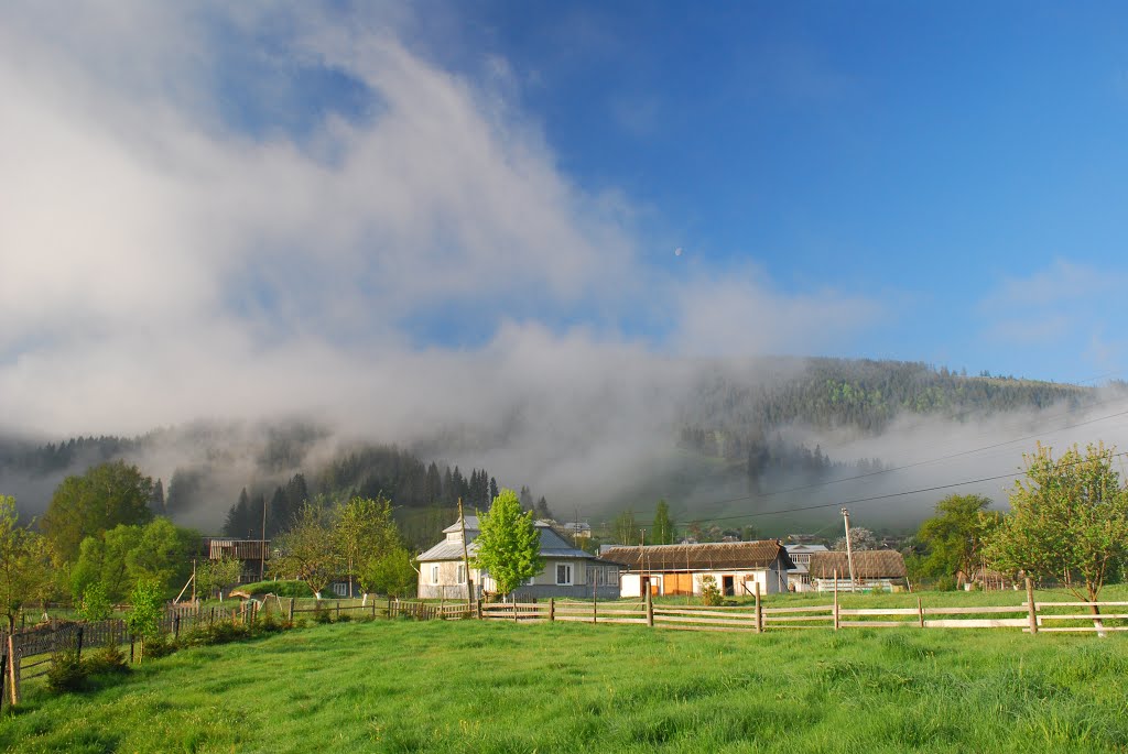 Morning fog in Verkhovyna