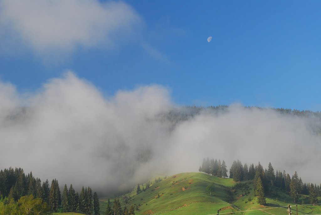 Morning fog in Verkhovyna