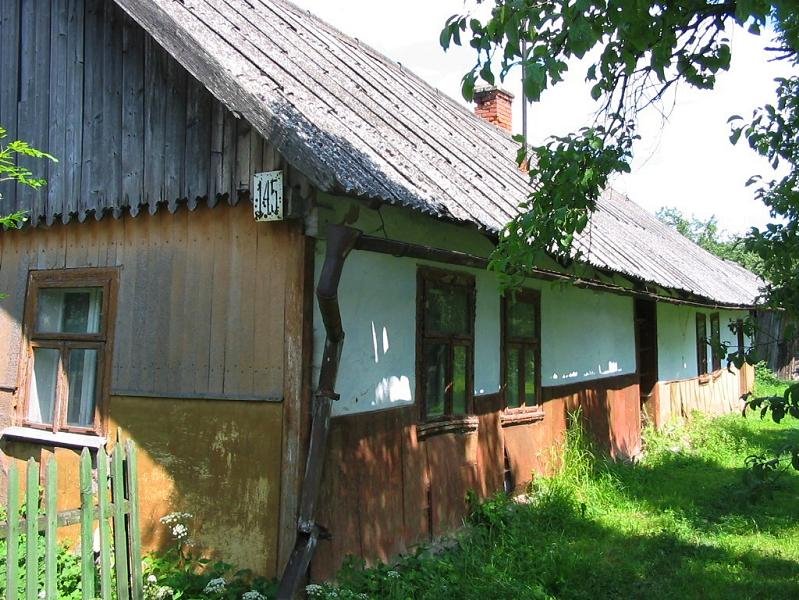 Village house