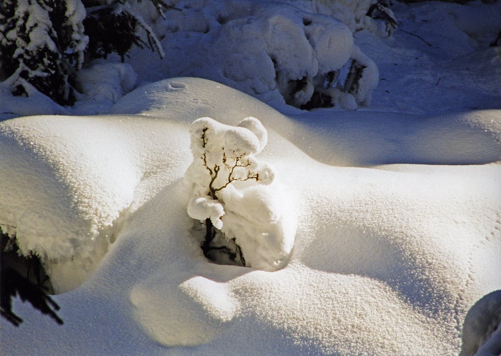 Музыка под снегом... Music under the Snow...
