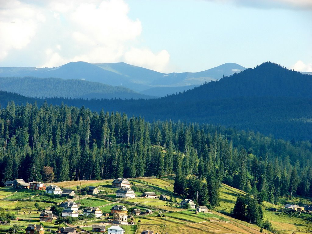 Наче море зелене.*