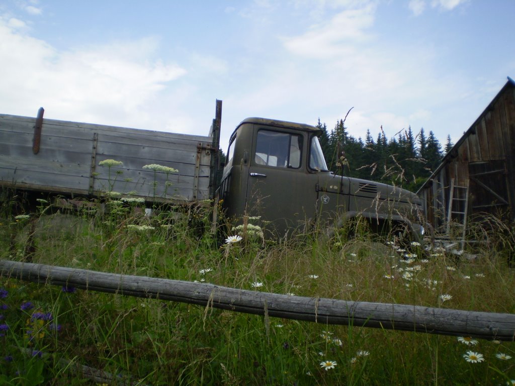ZIL 131 in summer