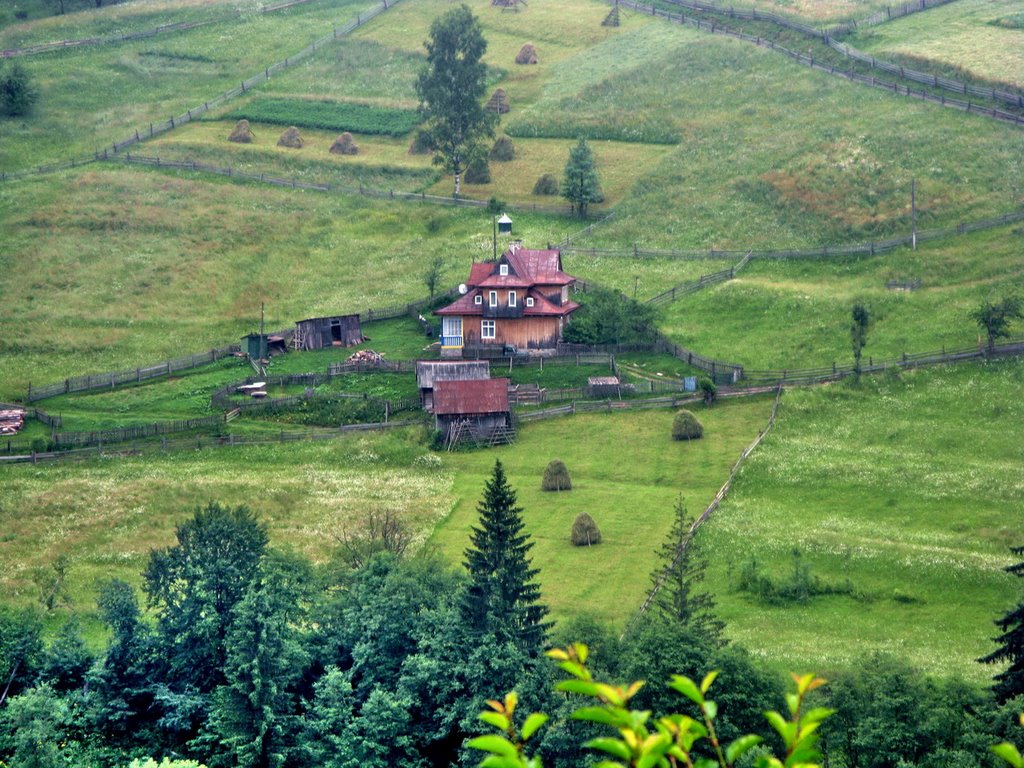 Сам собі господар........*