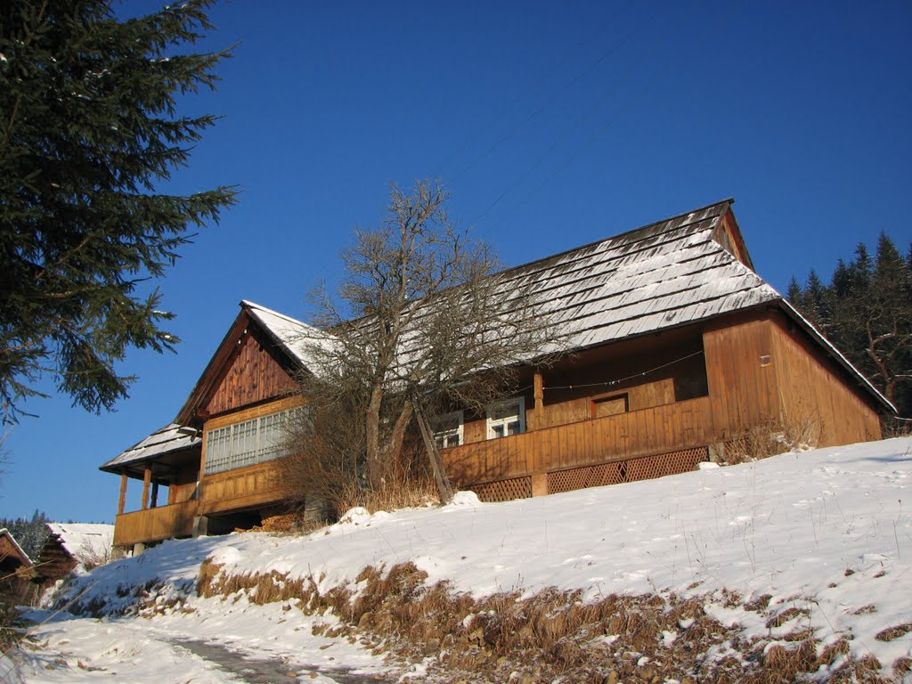 Old gutsulskiy house