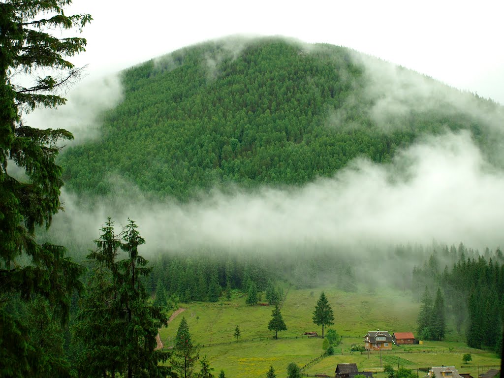 Ворохта