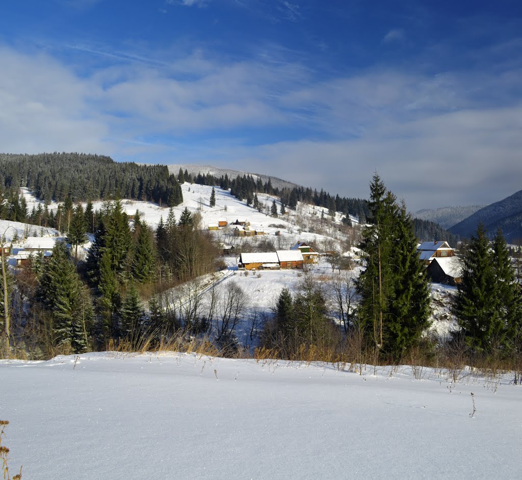 Winter miracle