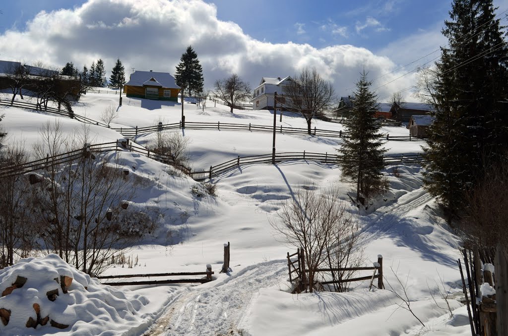 Winter came back 2