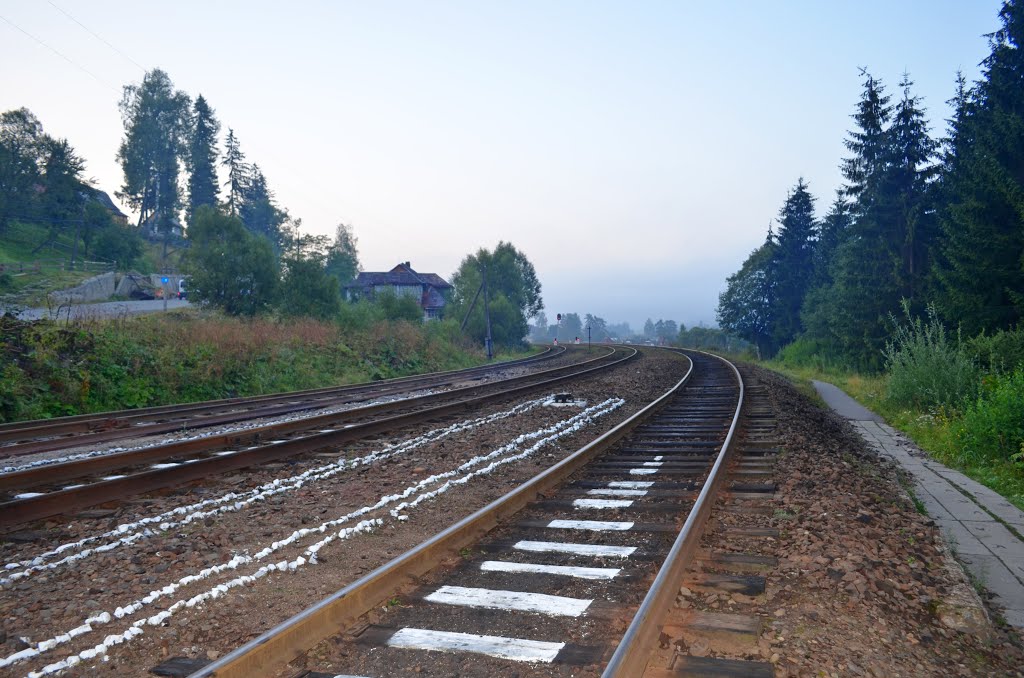 Railway in the fog