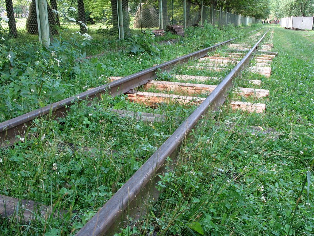 Narrow-Gage Railroad