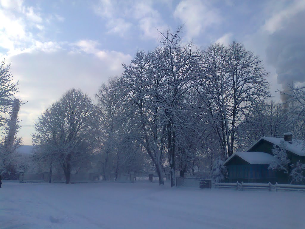 2013-зима