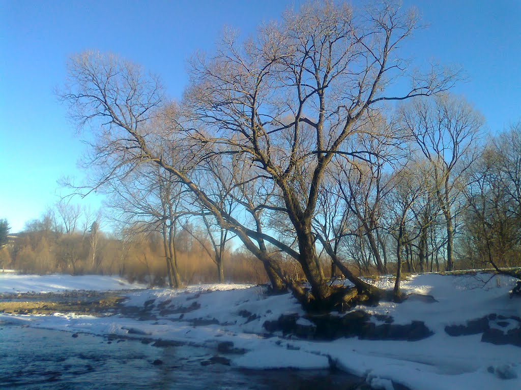 2013-зима