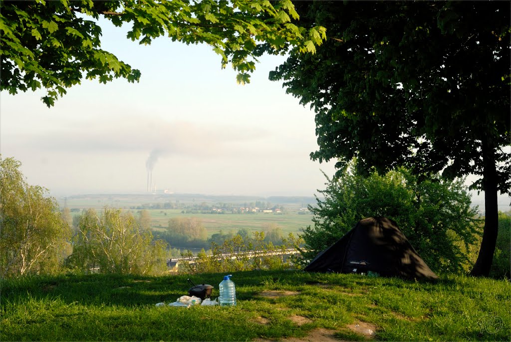 Замкова гора (Галич)