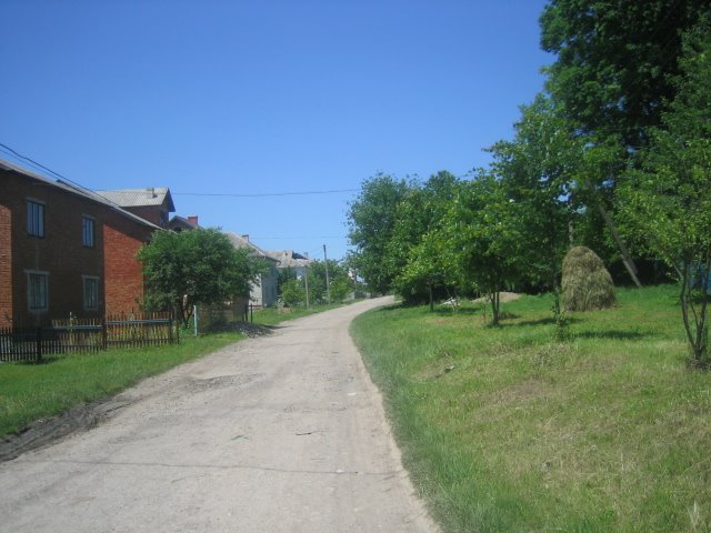 Halych Hora Street