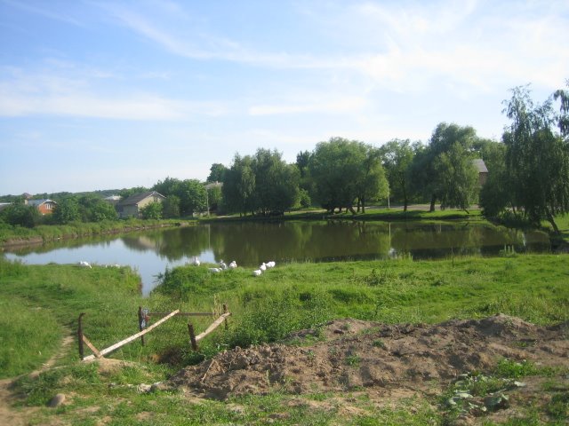 Halych Hora Pond