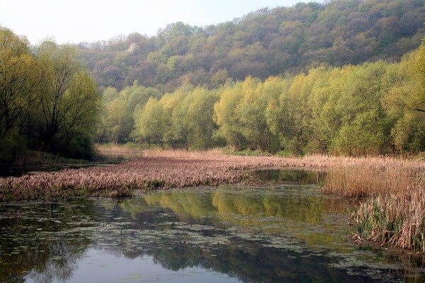 Korolivka lokality near Halych town