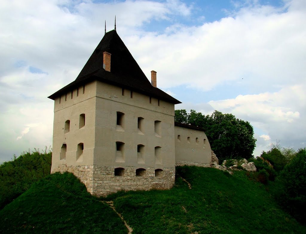 Галицький замок,  Halych castle