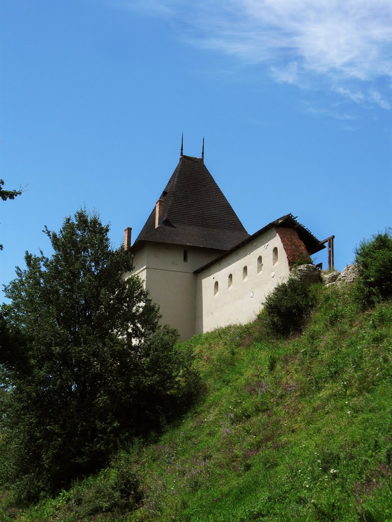 Halich, Ukraine