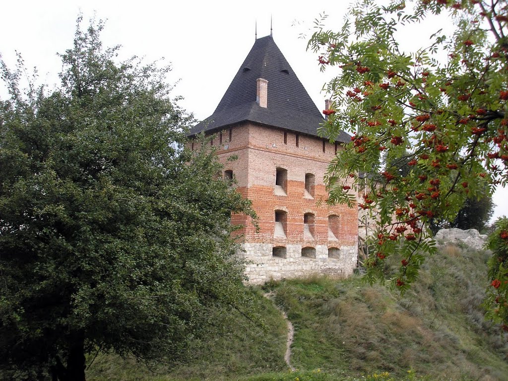 Old Castle in Halych (Galich), Ivano-Frankivsk Oblast, western Ukraine
