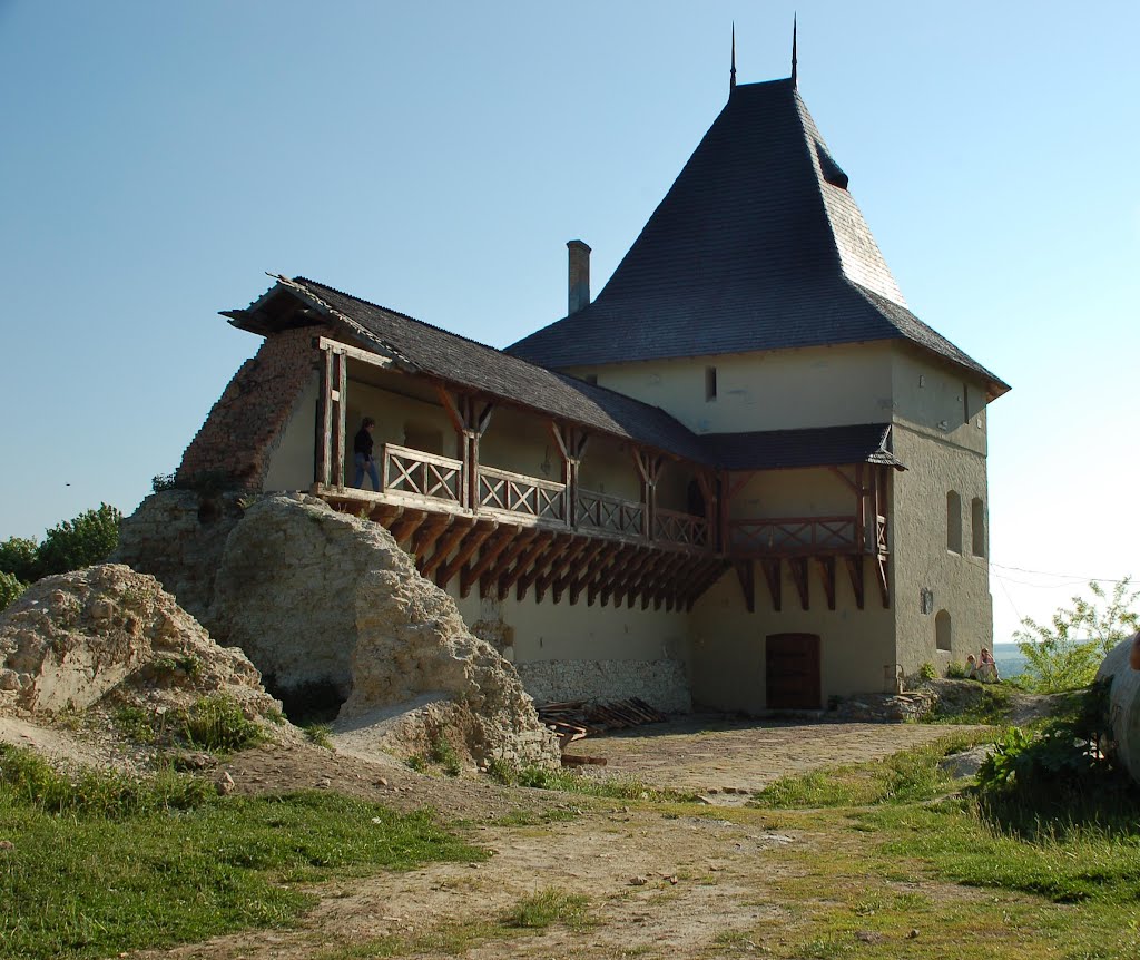 Галич, Старостинський замок