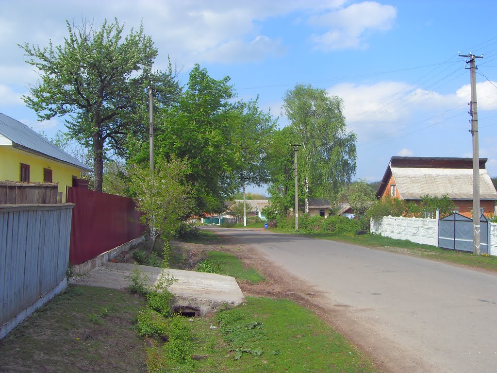 дорога