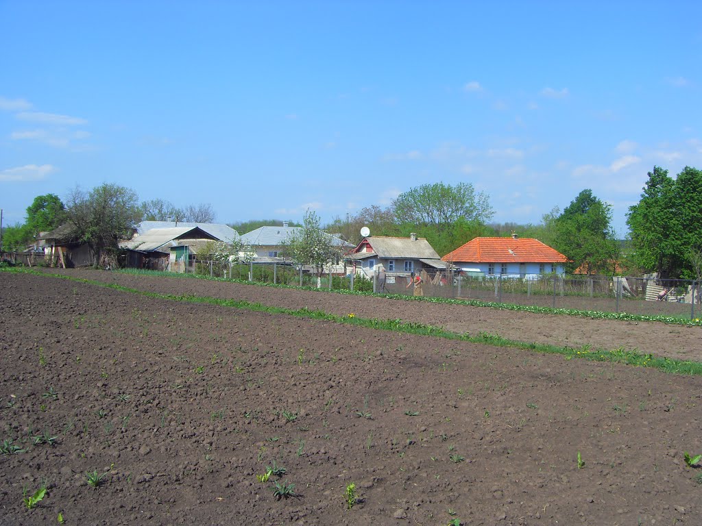 на городі
