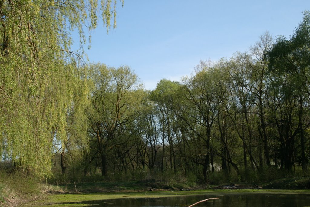 мижколхозна