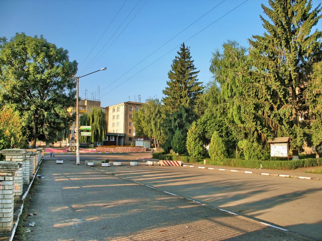 Зправа, за густими деревами,була колись книгарня *