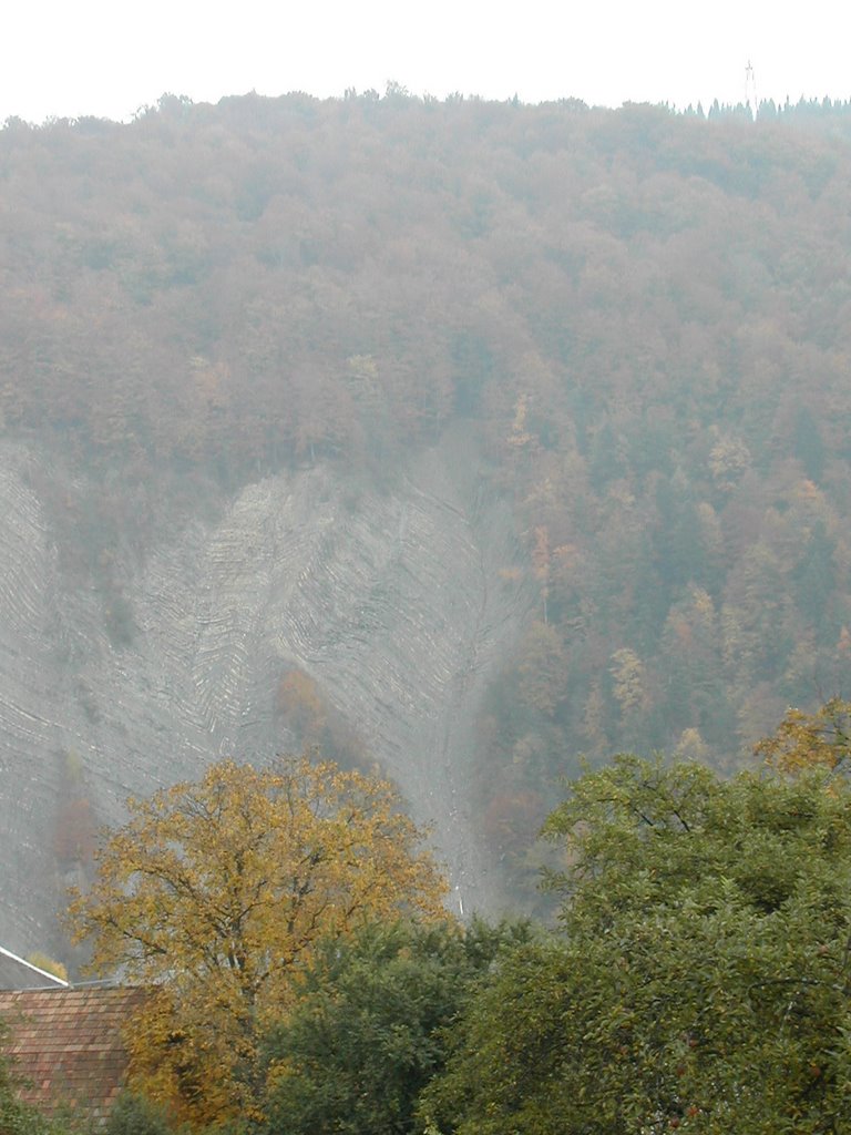 Hills in Yaremcha