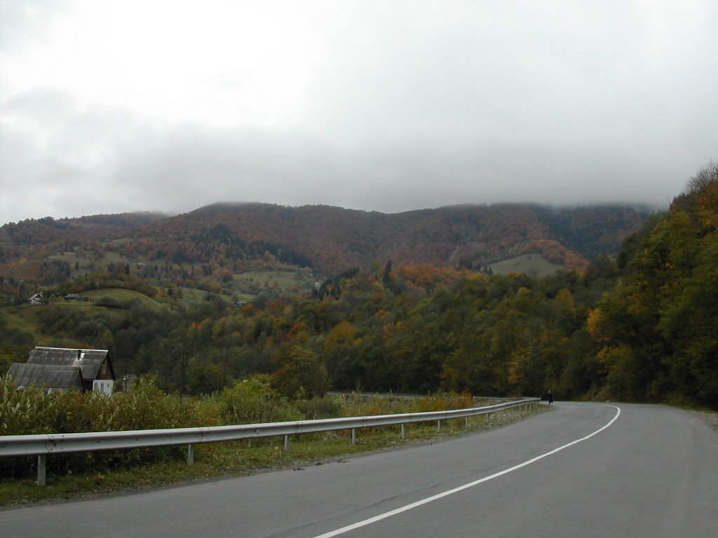 Yaremcha (Краєвид)