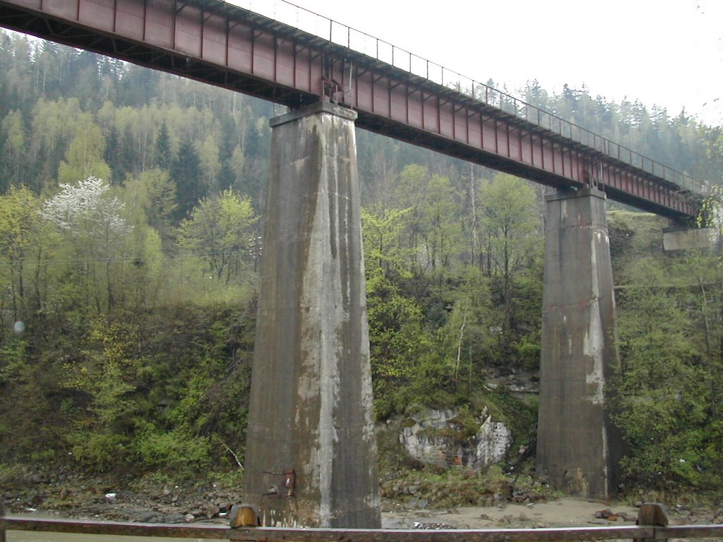 Міст через річку Прут в центрі міста (The bridge through the river Prut in the centre of Yaremche)