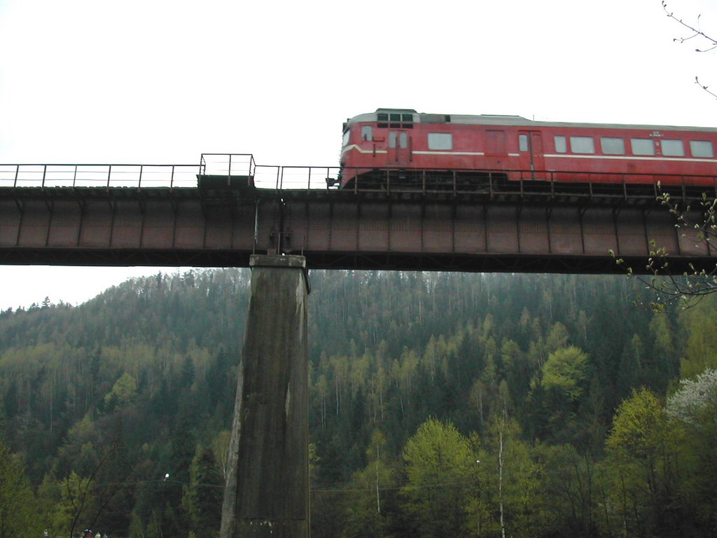 Міст через річку Прут в центрі міста (The bridge through the river Prut in the centre of Yaremche)