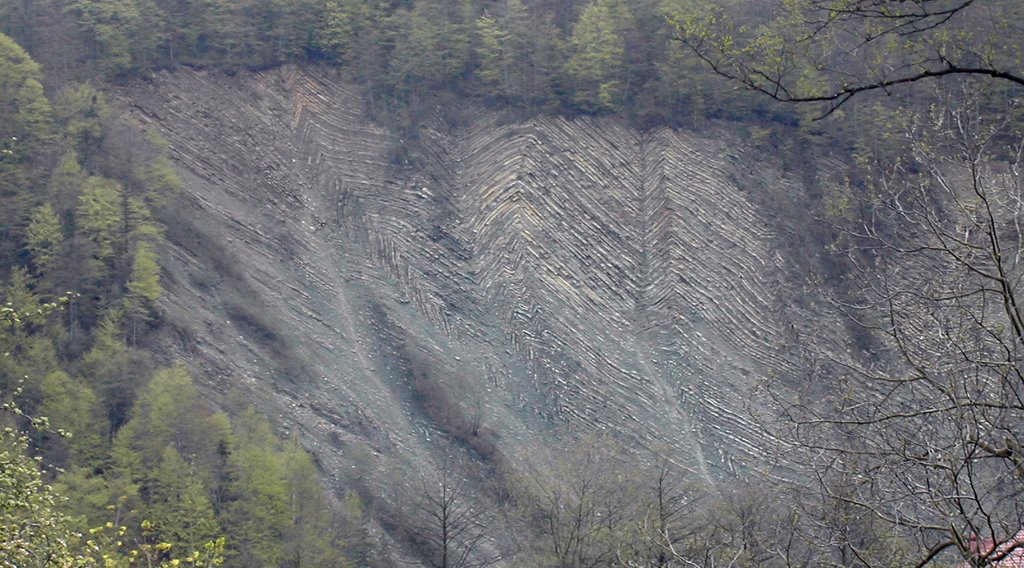 Гори в Яремче (Mountains in Yaremche)