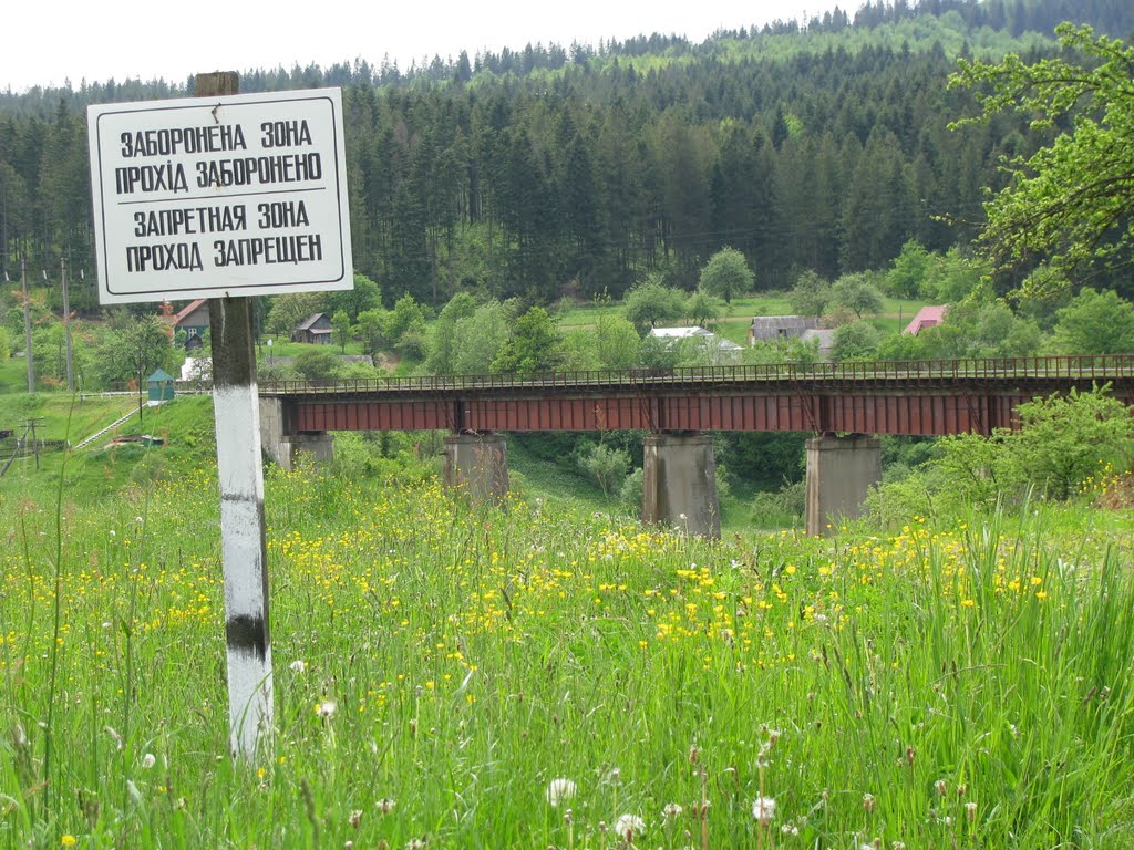 Railway bridge in Delyatyn
