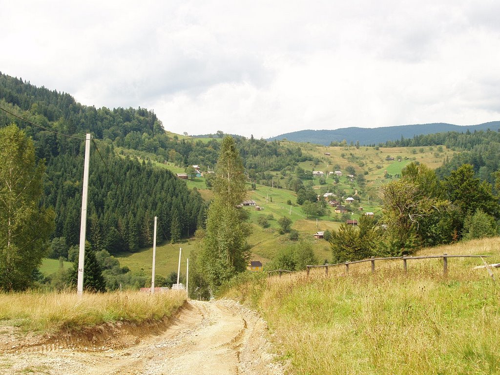 Hills near Yaremche