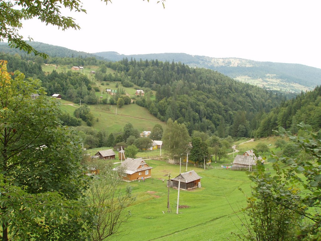 Hills near Yaremche 3
