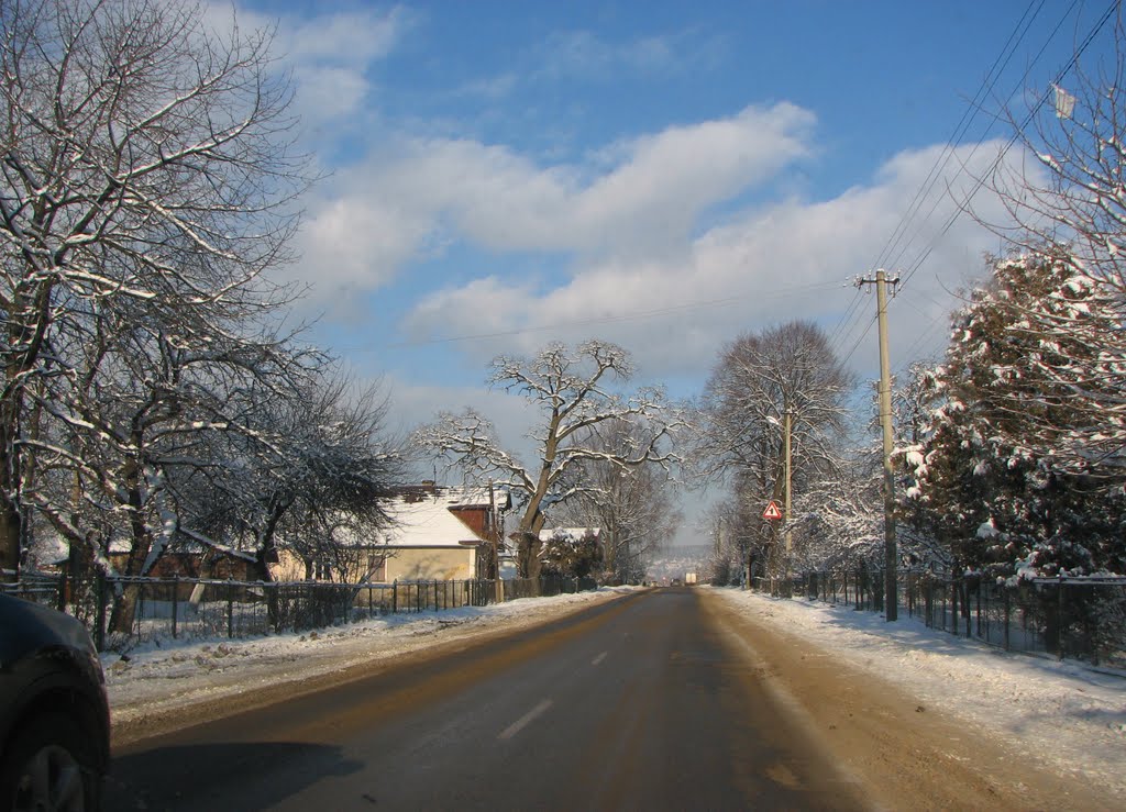 Гуцульські краєвиди (Gutsulski landscape)