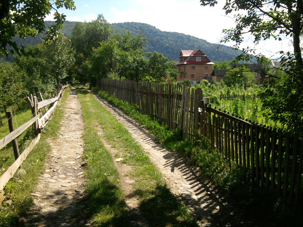 На дамбі