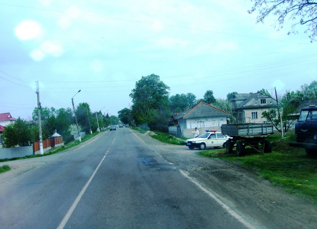 Welcome in Zabolotov!