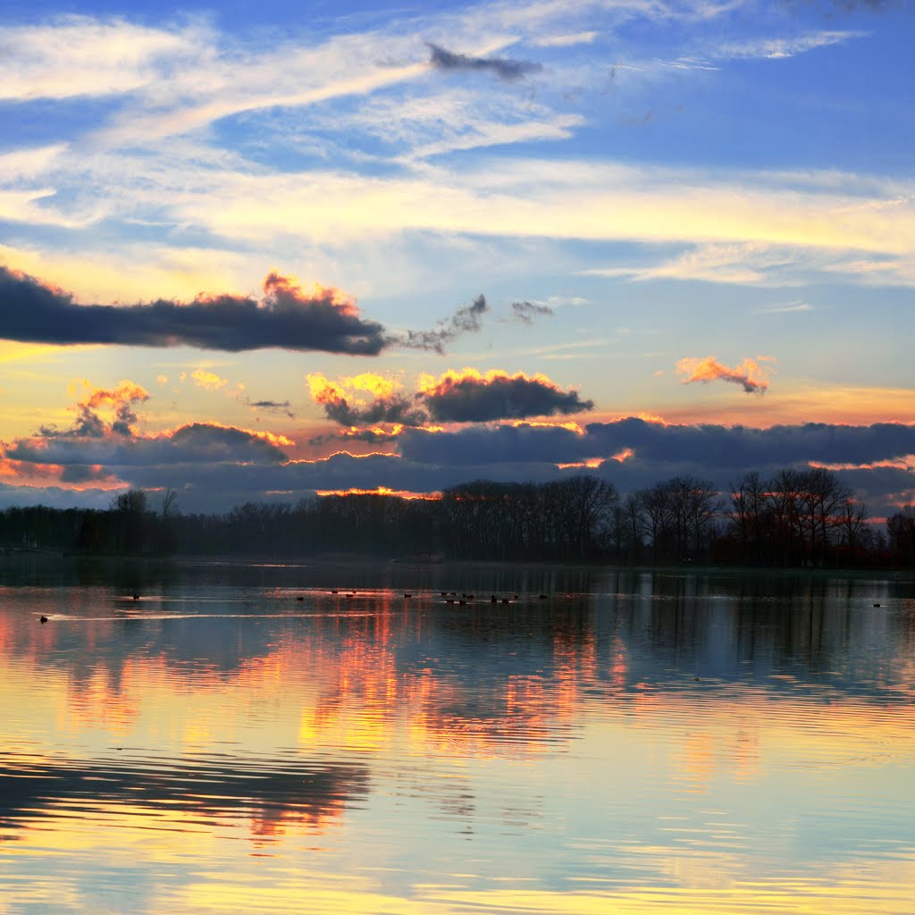 Bewitching reflections of reality