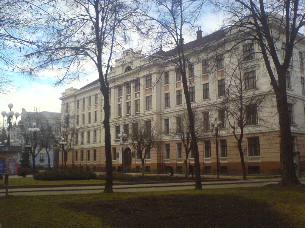 City Law- court