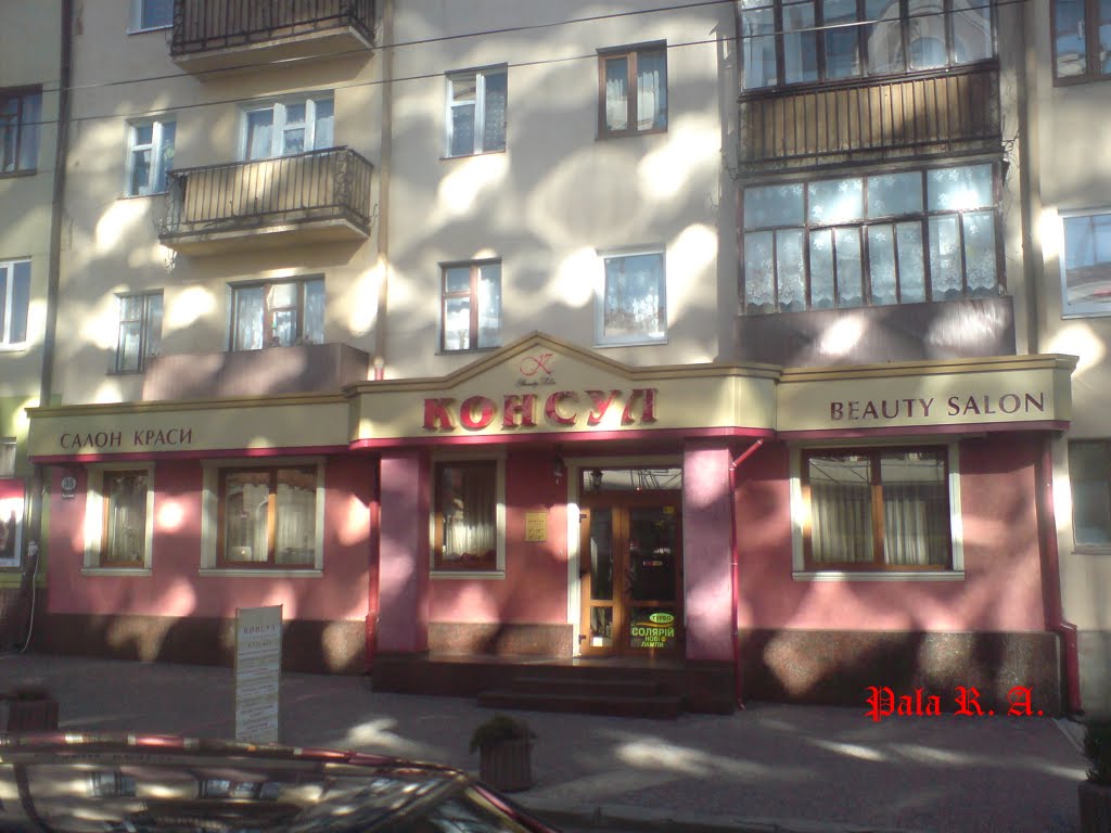 House on Vasilianok street (ex.Panfilovtsiv street)